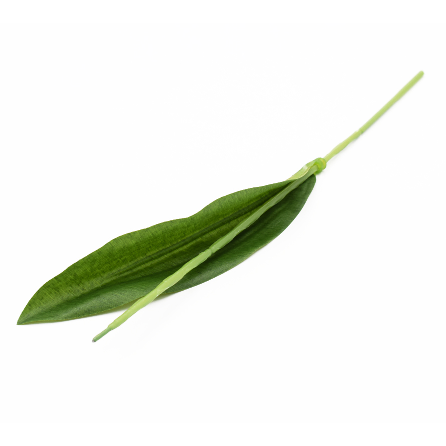 034f0f0eb15de14058ea24ff85d885c2_1200x800x0