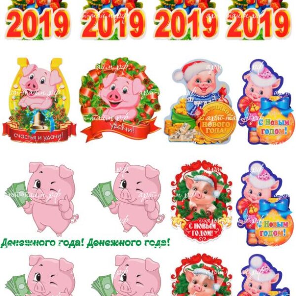 Свинки на квадрат 1